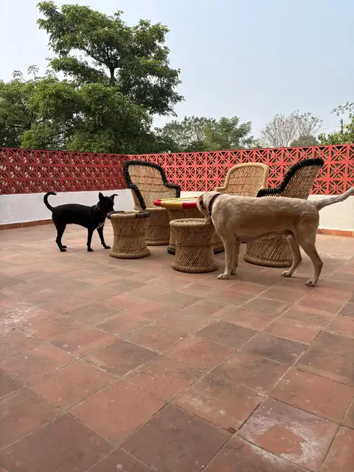 WhatsApp Image 2025-10-30 at 9.33.26 AM (1)